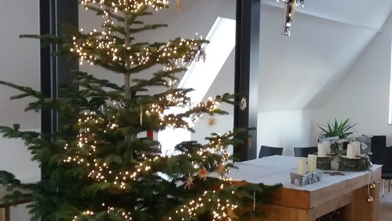 Der Weihnachtsbaum in der Kapelle wurde aufgestellt (10. Dezember 2020)
