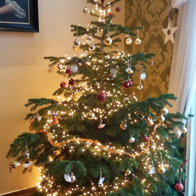 Die Weihnachtsbäume wurden geschmückt und die Krippen aufgebaut (11. Dezember 2020)