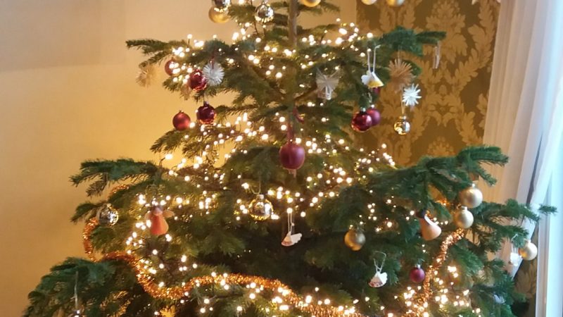 Die Weihnachtsbäume wurden geschmückt und die Krippen aufgebaut (11. Dezember 2020)